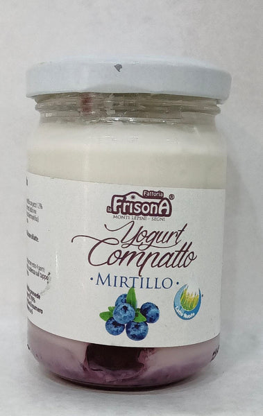 Yogurt artigianale al mirtillo – 145 gr