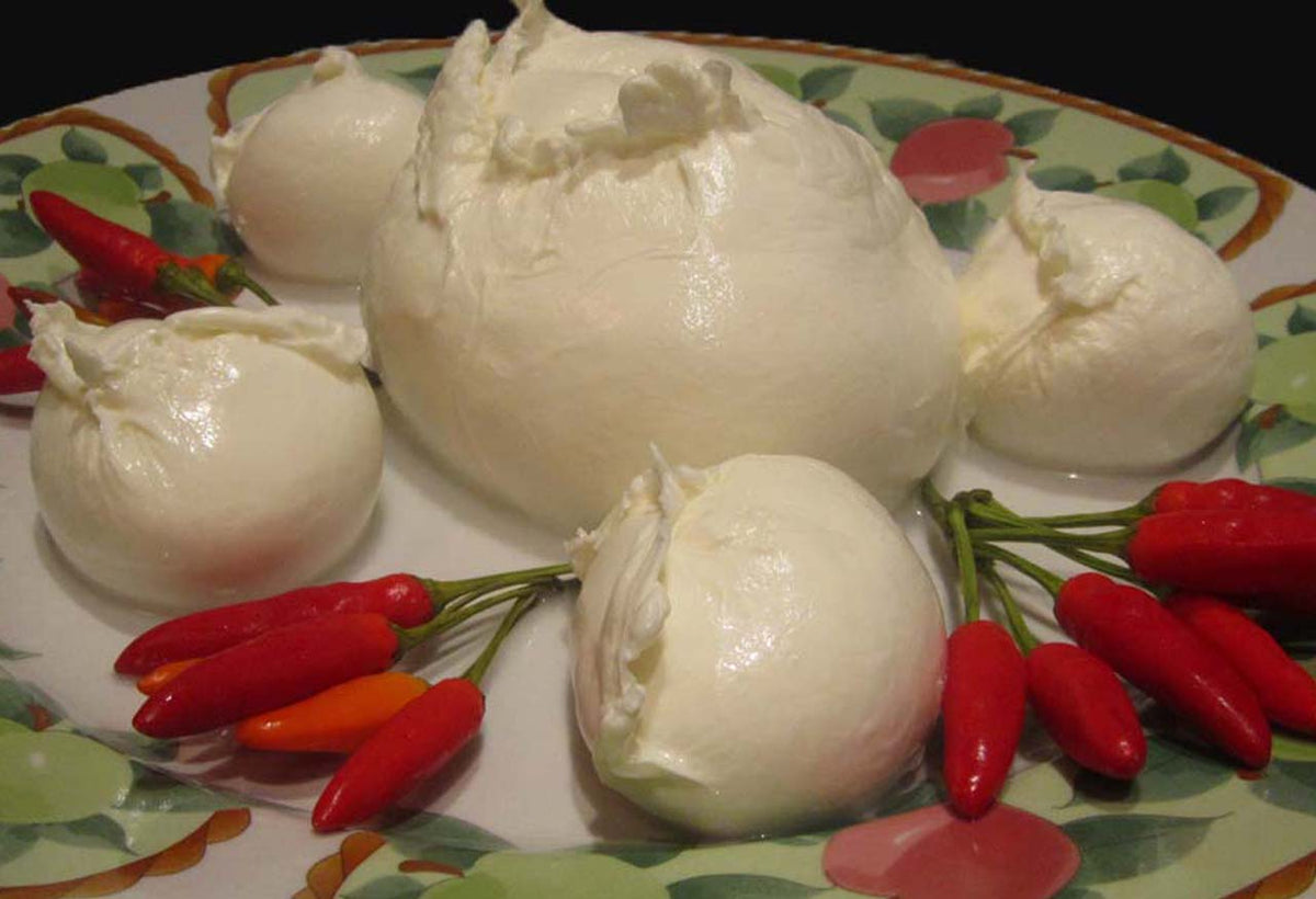 4 Mozzarelle di bufala artigianale di Battipaglia da 250 gr